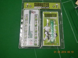 DSCN1979