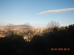 DSCN3153