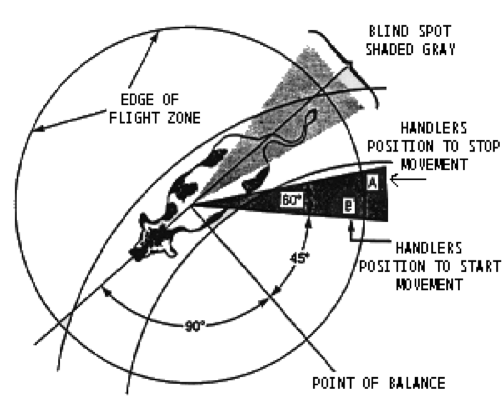 11_flight zone.png11_